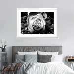 Monochromatic Rose Wall Art