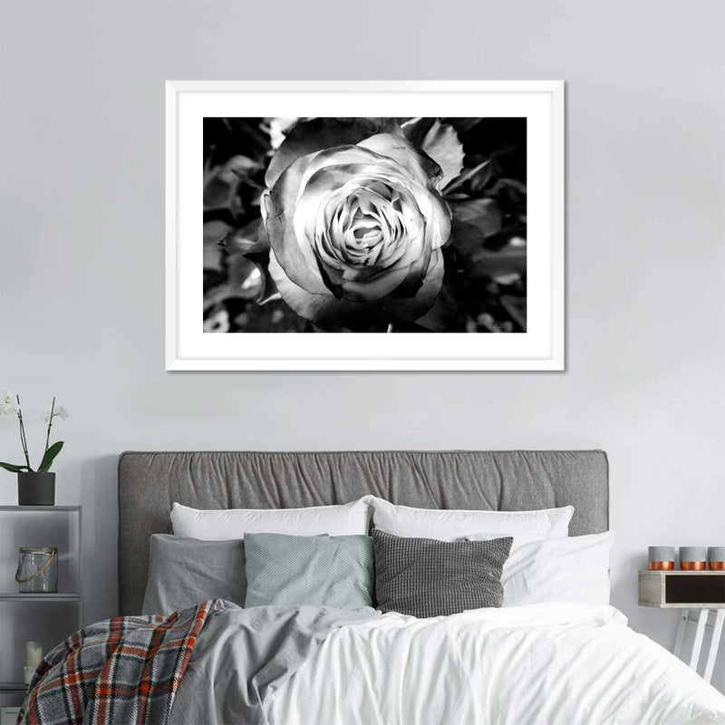Monochromatic Rose Wall Art