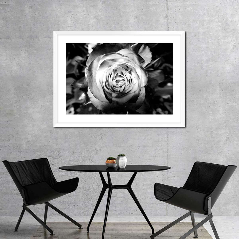Monochromatic Rose Wall Art