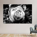 Monochromatic Rose Wall Art