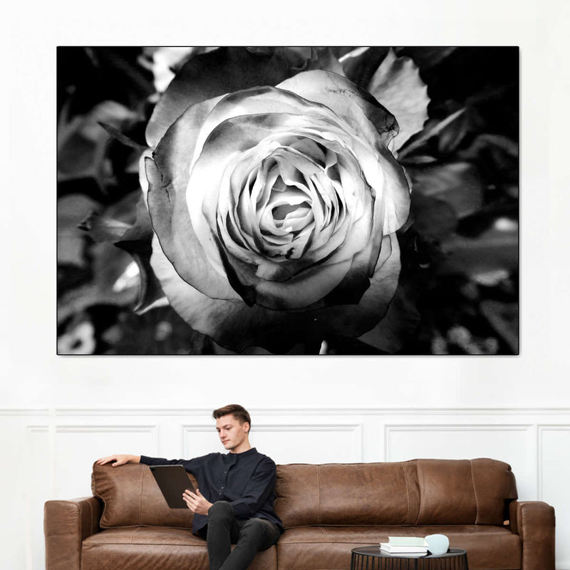 Monochromatic Rose Wall Art