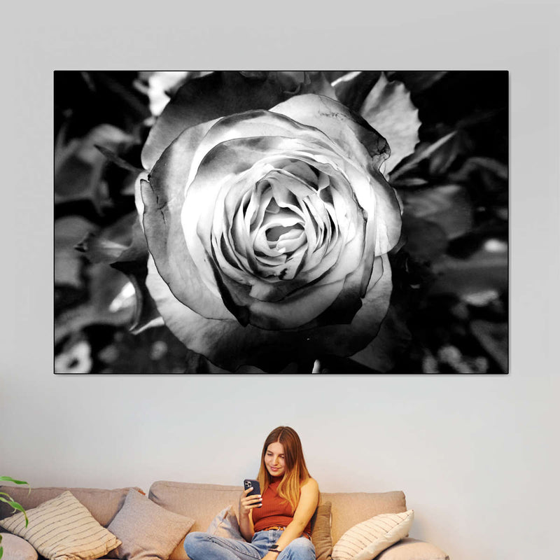 Monochromatic Rose Wall Art