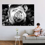 Monochromatic Rose Wall Art