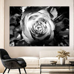 Monochromatic Rose Wall Art