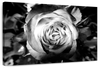 Monochromatic Rose Wall Art