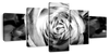 Monochromatic Rose Wall Art