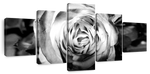 Monochromatic Rose Wall Art