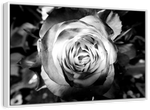 Monochromatic Rose Wall Art