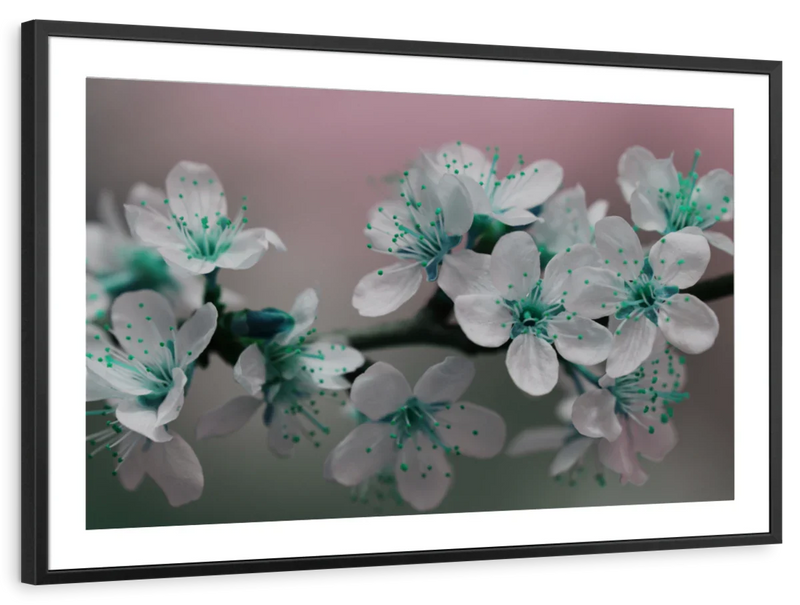 Pretty Blooms Wall Art