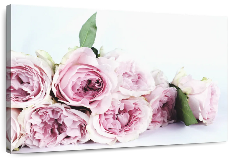 Layers Of Pink Peonies Wall Art