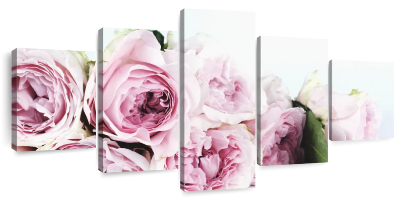 Layers Of Pink Peonies Wall Art