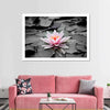 Lotus Flower Wall Art