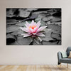 Lotus Flower Wall Art