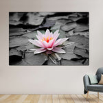 Lotus Flower Wall Art