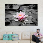 Lotus Flower Wall Art