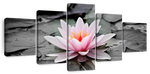 Lotus Flower Wall Art