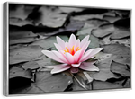 Lotus Flower Wall Art