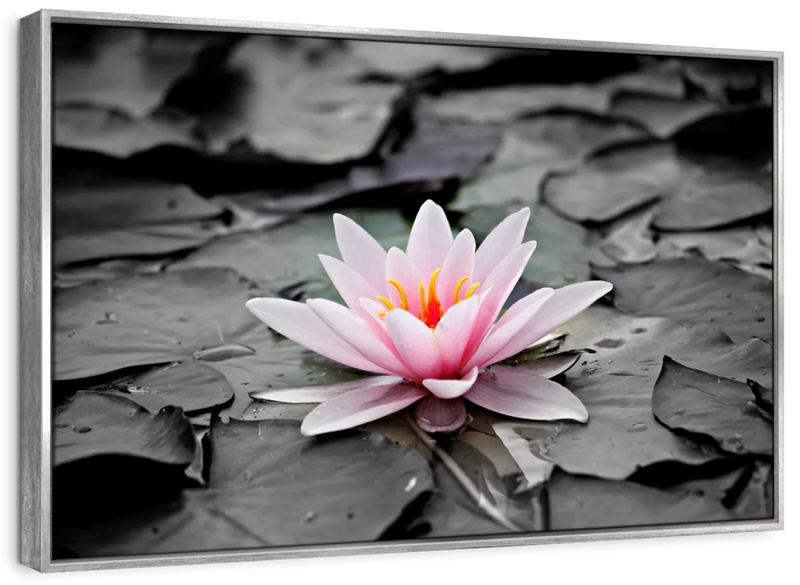 Lotus Flower Wall Art