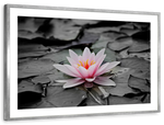Lotus Flower Wall Art