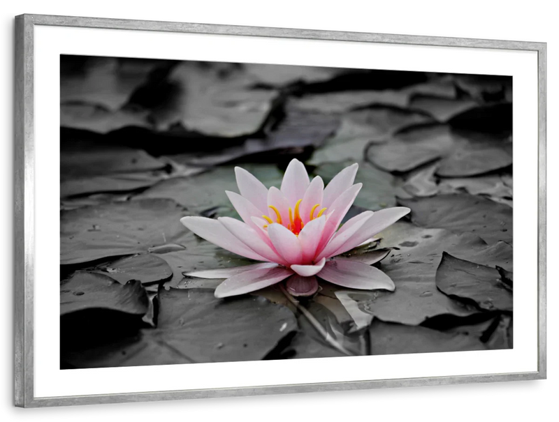 Lotus Flower Wall Art