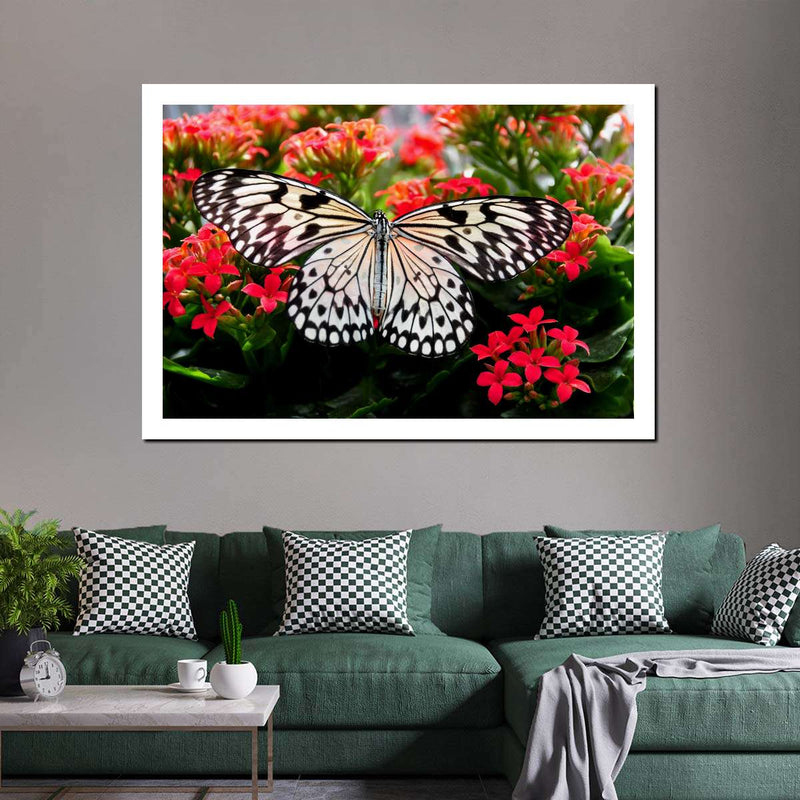 Pretty Butterfly Wall Art