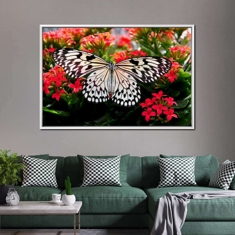 Pretty Butterfly Wall Art