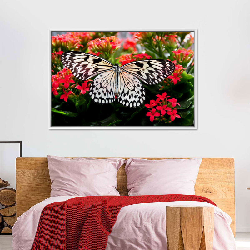 Pretty Butterfly Wall Art