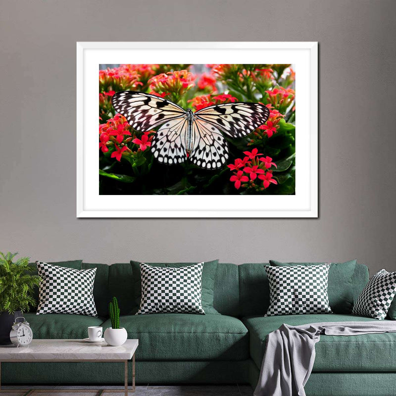 Pretty Butterfly Wall Art