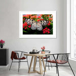 Pretty Butterfly Wall Art