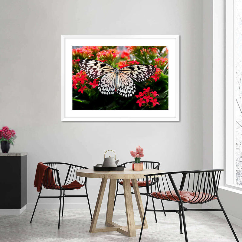 Pretty Butterfly Wall Art