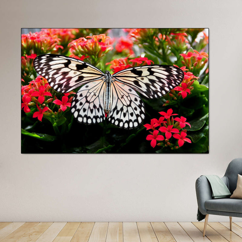 Pretty Butterfly Wall Art