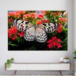 Pretty Butterfly Wall Art