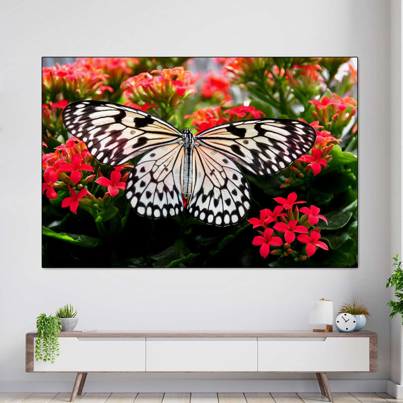 Pretty Butterfly Wall Art