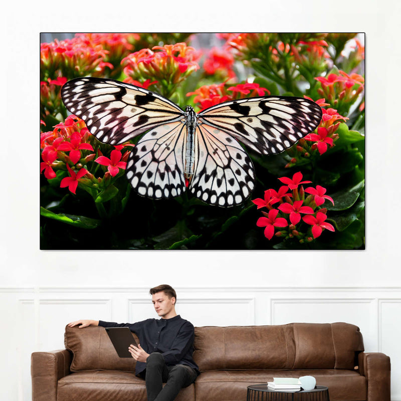 Pretty Butterfly Wall Art
