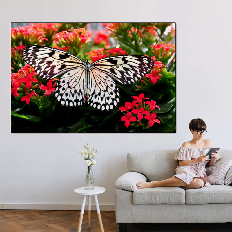 Pretty Butterfly Wall Art
