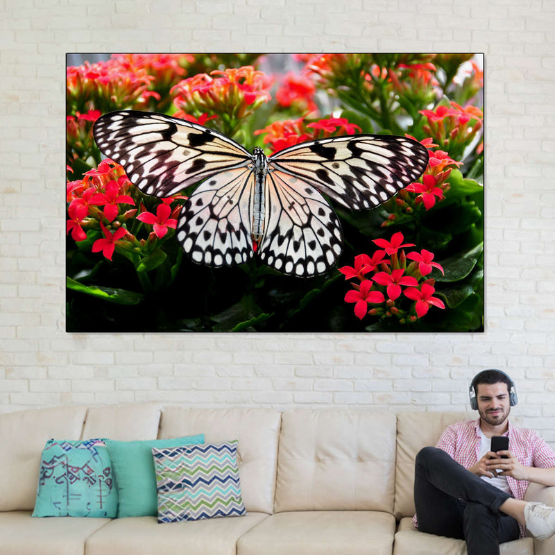 Pretty Butterfly Wall Art