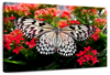 Pretty Butterfly Wall Art