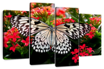 Pretty Butterfly Wall Art