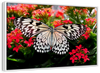 Pretty Butterfly Wall Art