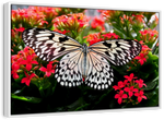 Pretty Butterfly Wall Art
