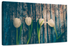 Pristine White Tulips Wall Art