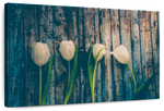 Pristine White Tulips Wall Art