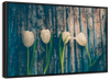 Pristine White Tulips Wall Art