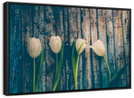 Pristine White Tulips Wall Art