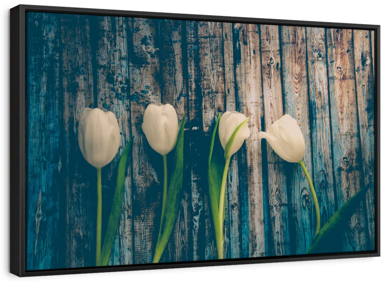Pristine White Tulips Wall Art