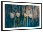 Pristine White Tulips Wall Art