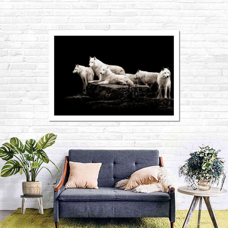 White Wolves Wall Art