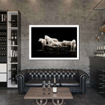 White Wolves Wall Art