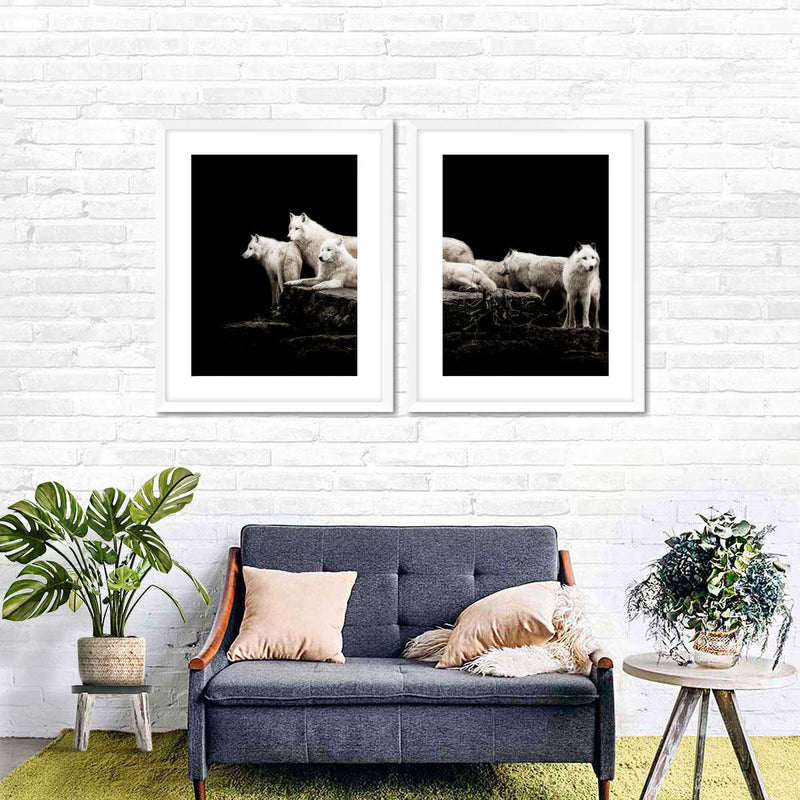 White Wolves Wall Art