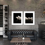 White Wolves Wall Art